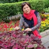 莉莉的头像
