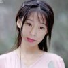 乐儿的头像
