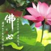 真心如水的头像