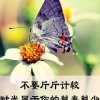 花开花落的头像