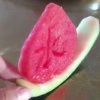 ﹏小水﹏(停唱)的头像