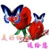 星苹果平平安安的头像