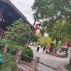 随缘的头像