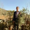 平凡的头像