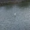 没了的头像