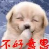 硕妍的头像