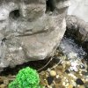 星爷的头像