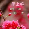 春暖花开的头像