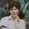三三的头像