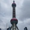 秋风萧瑟的头像