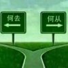何去何从的头像