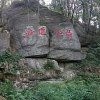 -：的头像