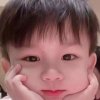 黄晨晨的头像