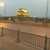 经典美琴的头像
