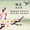 天崖的头像