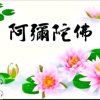 净土归莲极乐妙音的头像