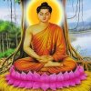 清净平等觉心的头像