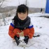 丁香花的头像