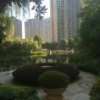 平安是福的头像