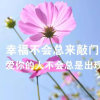 芳芳的头像