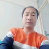 红星高照的头像