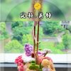 且行且珍惜的头像
