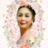 两棵树   的头像