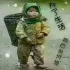 朝歌的头像