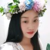葬花魂的头像