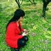 人生如梦的头像