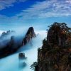 茁cloud的头像