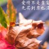 心语的头像