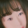 东方贵族〈依 旧〉的头像