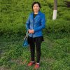 秀莲的头像
