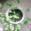 林嘉乐的头像