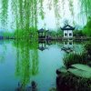 钰尧的头像