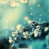 退♚·。梨花情的头像