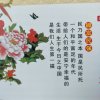 正能量的头像