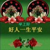 蜘蛛侠的头像