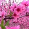 开心快乐每一天的头像
