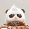 人生本过客的头像