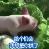 北凉天下，怪wσ的头像