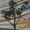 凡人的头像