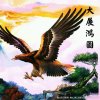 狂傲的雄鷹的头像