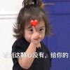 白鸽的头像