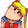 骑着毛驴看世界的头像