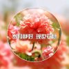 真我的风采的头像