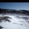 思雪的头像