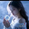 ღ҉╯᭄ྀ媛媛࿐《停幣》的头像