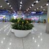 傲雪的头像